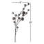 Paquette Bell Spray