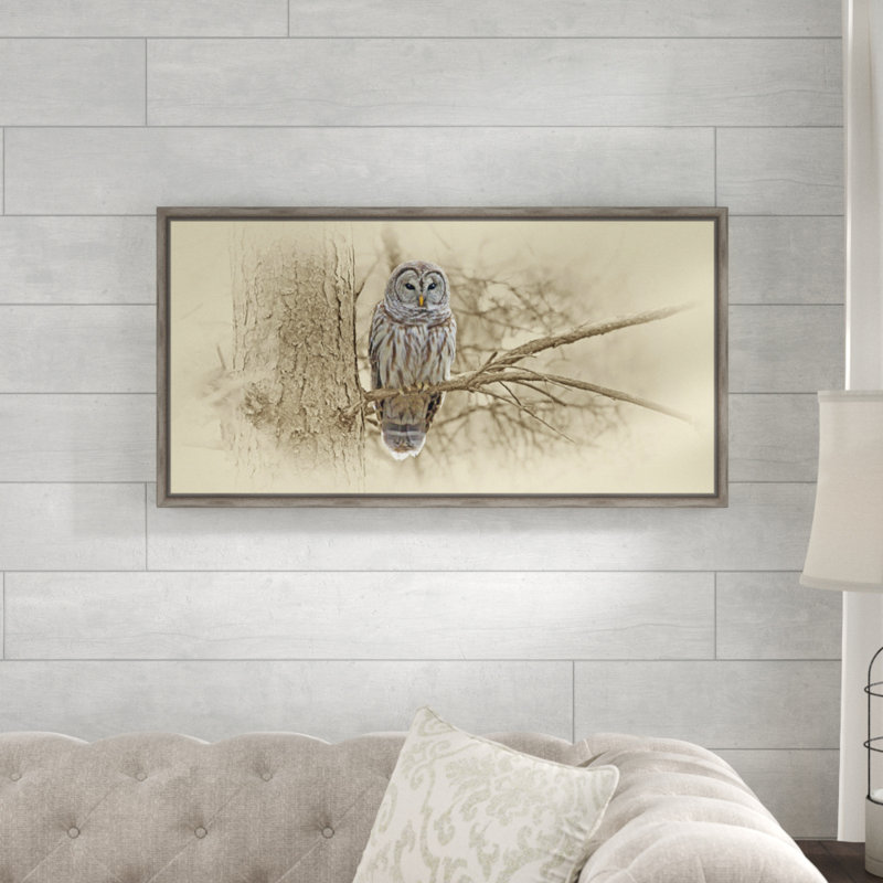 « barred hibou », impression sur toile