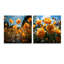 Mohrmann jaune Buttercups Field Sunrise I - ensemble d'acryliques sur verre acrylique-103920026