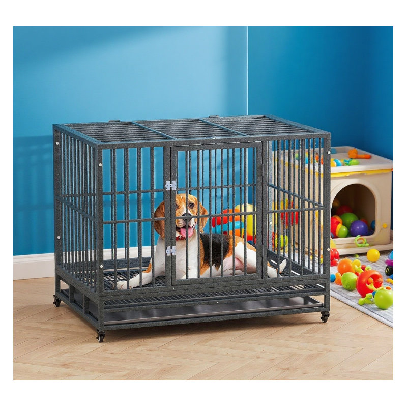 Cage en métal robuste pour chenil