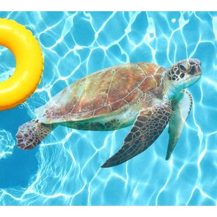  Ocean Beach Nautical Theme Sea Turtle Coir Fiber Floor
