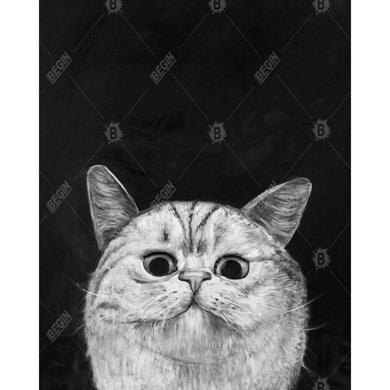 Watching Cat Print On Canvas