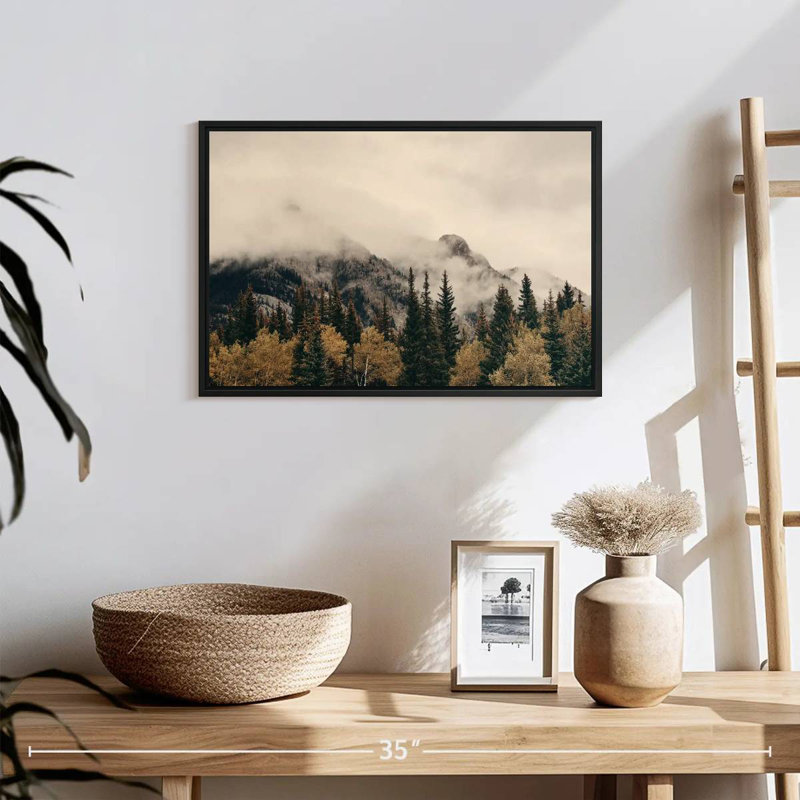 Parc national Alvord Foggy Banff, H 13 po x l 19 po