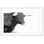 « corned animaux »-cadre photo, impression sur papier-20841194-19578698
