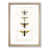 Oak Framed selected