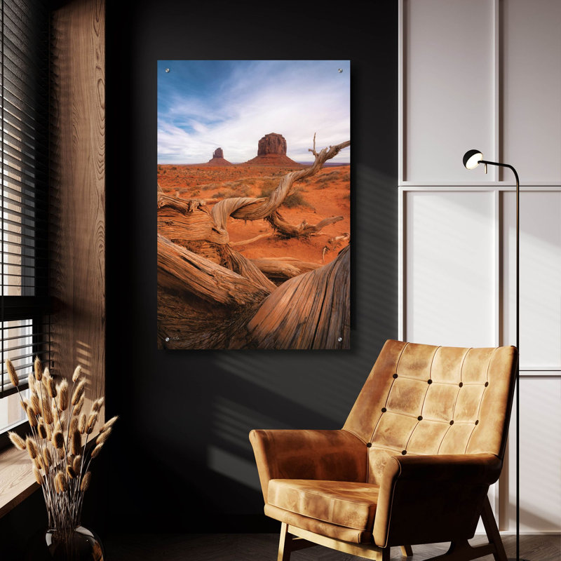  «Weathered Wood At Monument Valley» par Martin Podt, art mural en verre acrylique, 24 po x 36 po, H 36 po x l 24 po