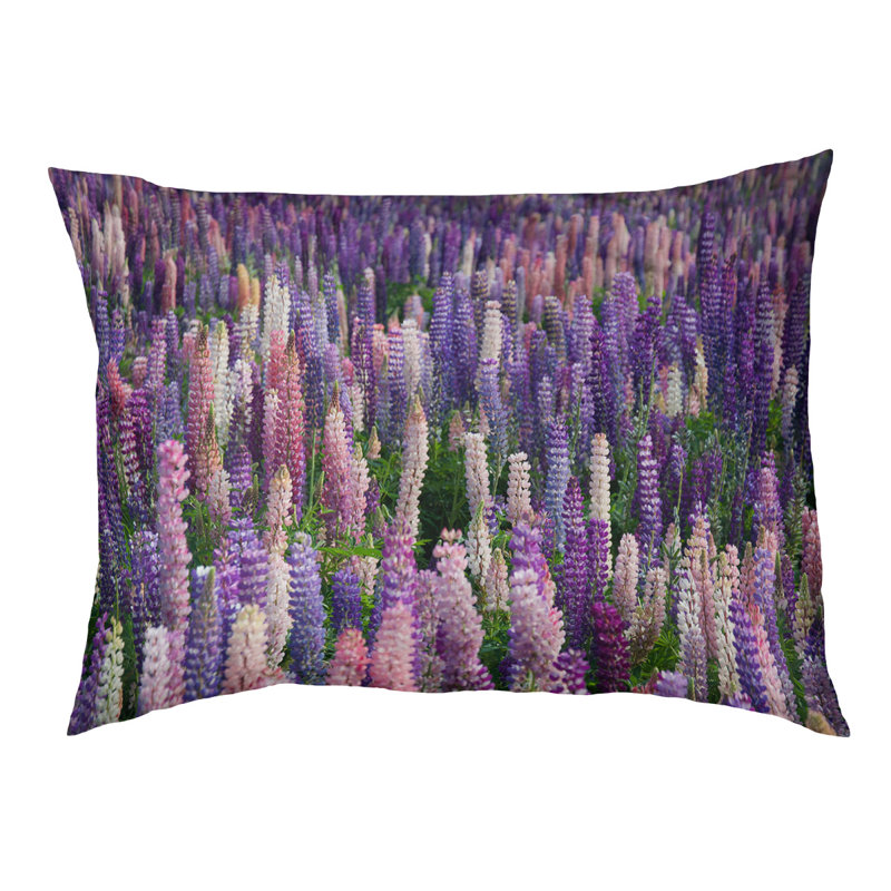 Coussin de concepteur d’extérieur pour lit pour chat lavande field Keener, Noir, L 42 po x l 52 po