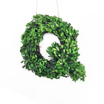 Abarca Preserved Boxwood 8'' Wreath
