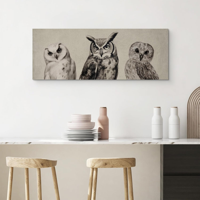 " Owls Animal "