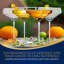 Ensemble 2 pièces de 10 oz. Ansaa Ensemble de verres à martini-1620946264