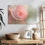Rose tendre Harnek I-108853533