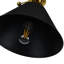 Luminaire suspendu conique à 1 lumière avec accents en fer forgé-84974602