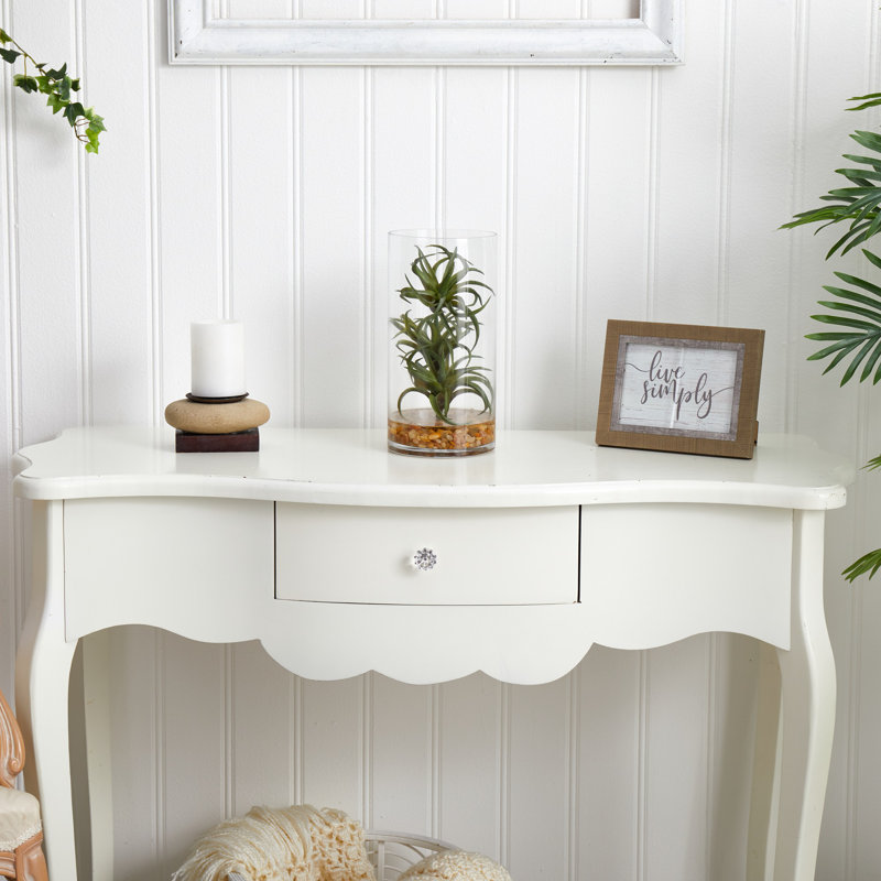 Succulent plante de bureau en vase air
