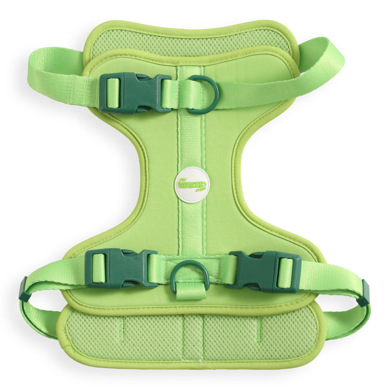 Harnais pour animal de compagnie Arlo, Vert clair, Grand