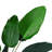 160 cm Tall Artificial Banana Leaf Tree Faux Large Plants in Pot-700878112