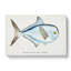 Illustration Of A Rays Bream Fish by F.E. Clarke - Wrapped Canvas Painting-55360206