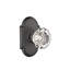 Privacy Astoria Clear Knob with # 8 Rose-540963501