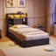 Upholstered Storage Bed-748868194-748868198