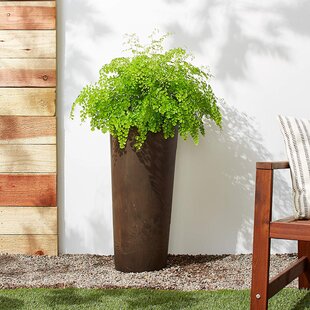 Wayfair  Extra Large Pot Planters You'll Love in 2024