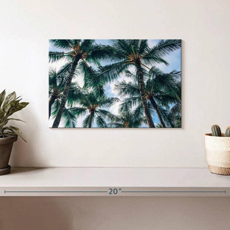 Harnek à Honolulu, H 8 po x l 12 po