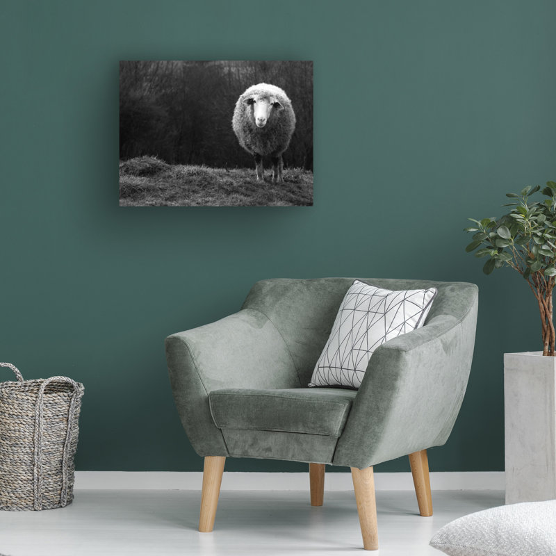 «Wondering Sheep» Ajven, art mural sur toile tendue pour décor de salon, de chambre à coucher ou de bureau - 35 x 47