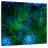 Monets Pool I
