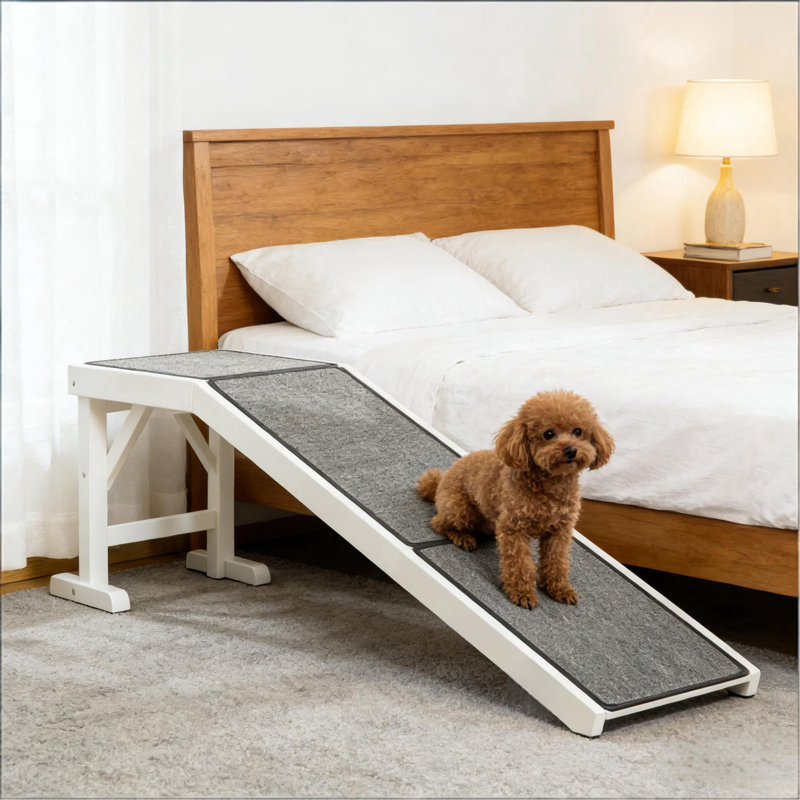 Rampe pratique pour animaux de compagnie, rampe pour chien