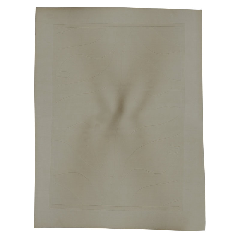 Tapis de haute qualité noué à la main