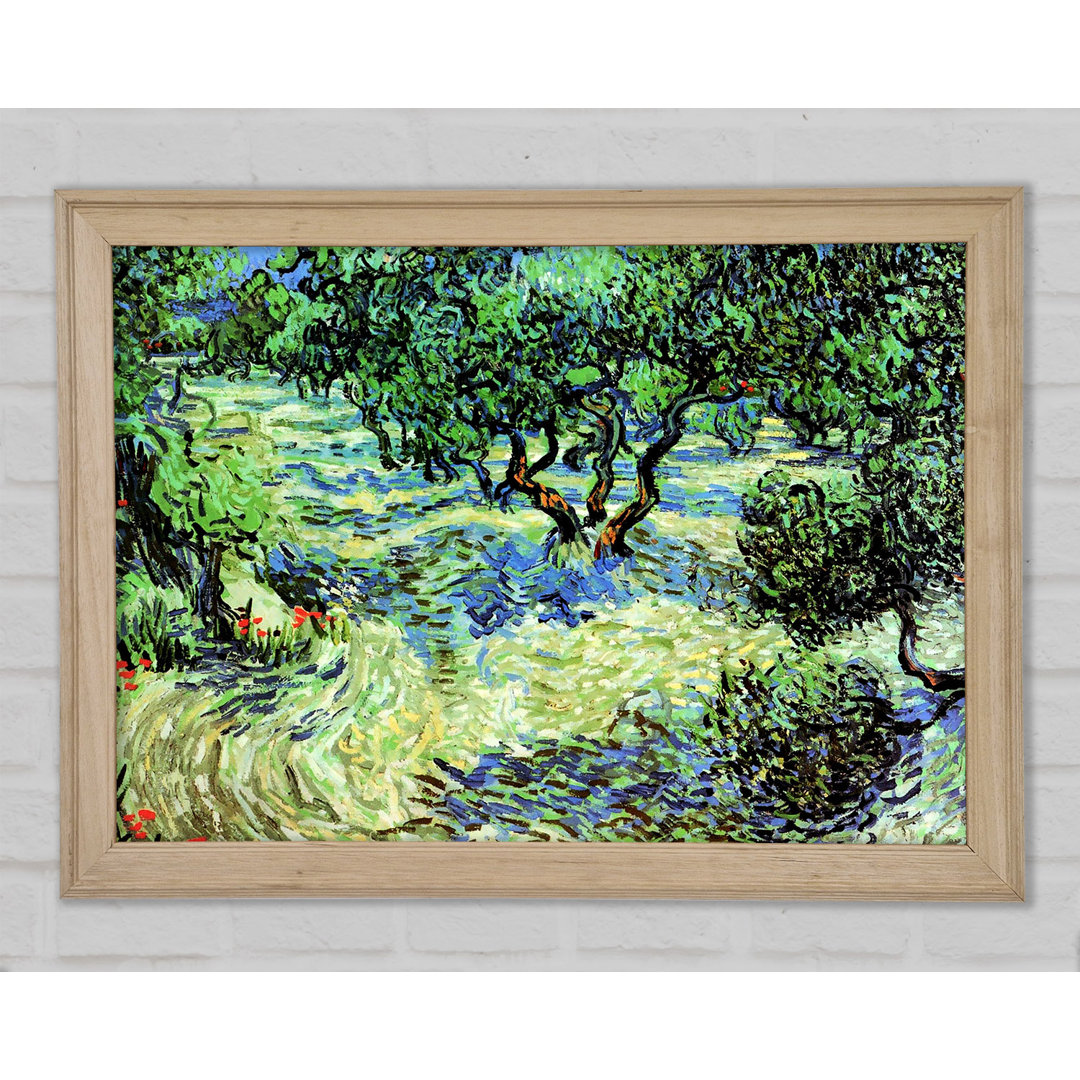 Van Gogh Olive Grove 2 - Einzelner Bilderrahmen Kunstdrucke