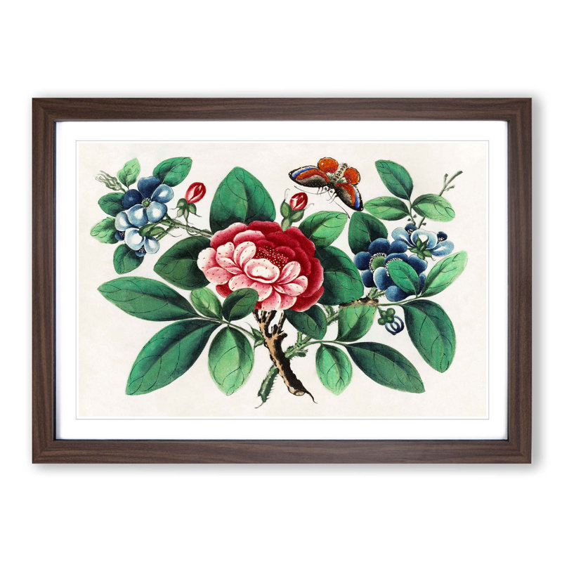 Flowers & Butterfly - Picture Frame Art Print, Walnut, 60cm H x 91cm W x 2cm D