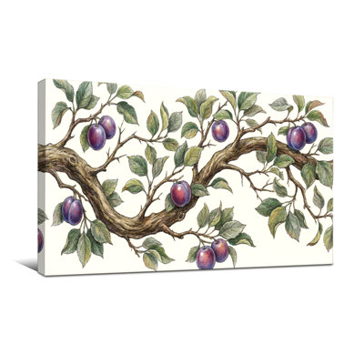 Plantes et fleurs branche de prunier avec feuilles et fruits