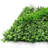 40" Artificial Eucalyptus Boxwood Grass Greenery Wall Panel Hedge Mat Backdrop Privacy Screen