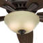 Ventilateur de plafond standard à 5 pales de 52 po avec chaîne de traction et ensemble d'éclairage inclus Newsome-56420829