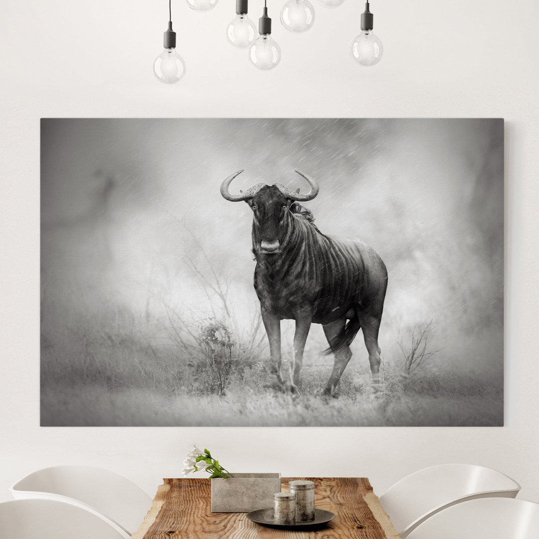 Leinwandbild Staring Wildebeest