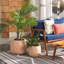 Yunque Pot Planter-1735000875