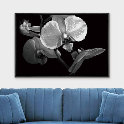 Bouquet of Orchid Flowers Floral Plants Photography Modern Art Duotone Dark Black and White