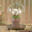 Cloche de base en métal Kenilworth
