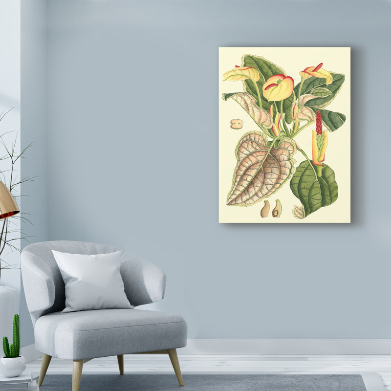 « botanique imaginaire iii », reproduction d’impression sur toile tendue, H 19 po x l 14 po x P 2 po