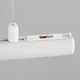 Collie Single Light LED Pendant