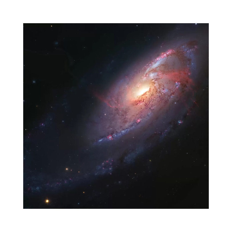 M106, Spiral Galaxy In Canes Venatici I by Robert Gendler - Wrapped Canvas Print, 66.04 cm H x 66.04 cm W x 3.175 cm D