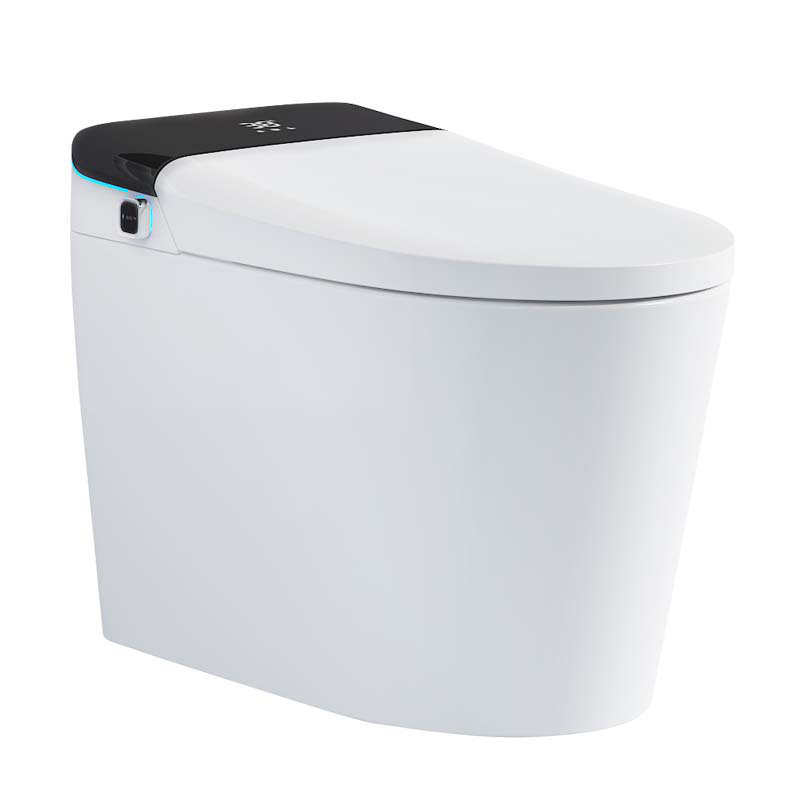 Toilette allongée pour bidet Tusuton 1,32 GPF, Blanc / noir