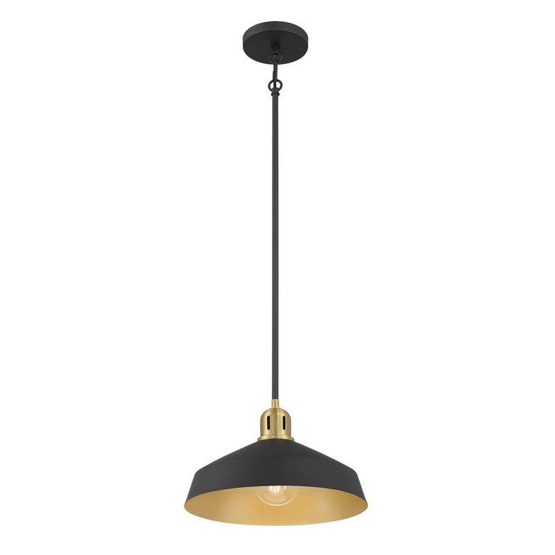 Luminaire suspendu 1 lumière Axlen