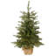 3ft. Nordic Spruce Tree with LED Lights