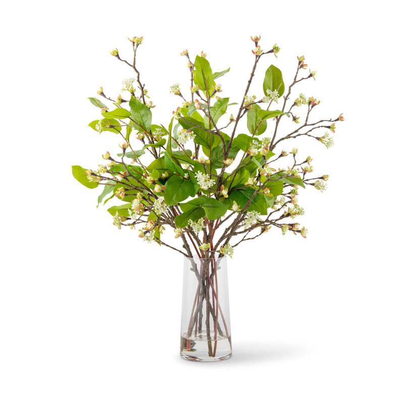 Savoy Greenery Bud Arôme
