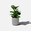Pot à fleurs rond Demi Series-83894852-97676810-83894854