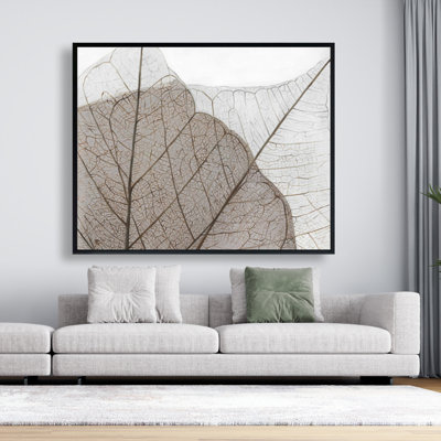 " Translucent Dried Leaves "