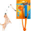 Lance-balles pliable pour lanceur de balles pour chien