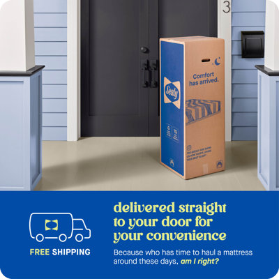 Sealy Dreamlife 14” Plush Foam Mattress-in-a-Box