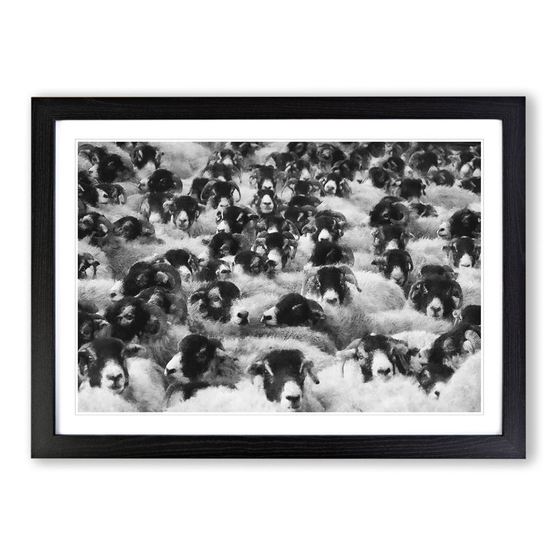 Flock of Sheep Vol.2 - Framed Print, Black Framed, 48cm H x 65cm W x 2cm D