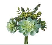 Succulents Arrangement, 12" x 8" x 8"